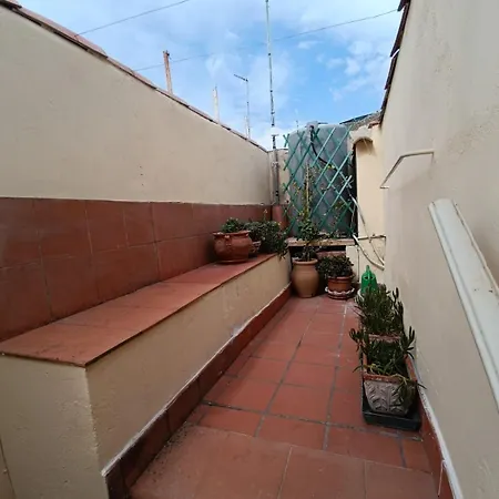 Fior Dell'Etna Apartment Pedara Exterior photo