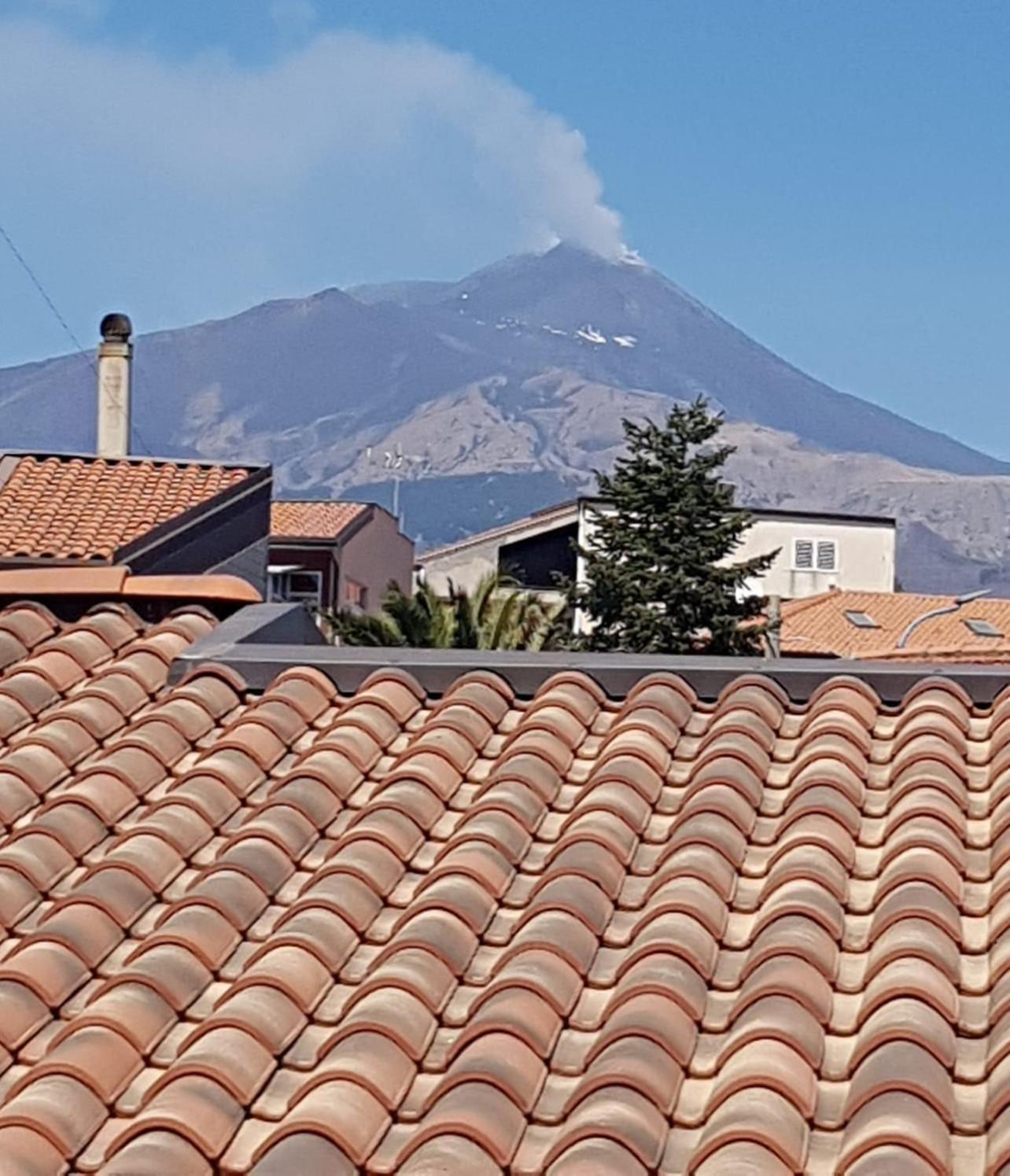 Fior Dell'etna *